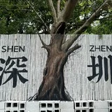 深圳公开榜