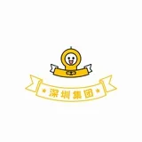 深圳集团报告（仅供参考）